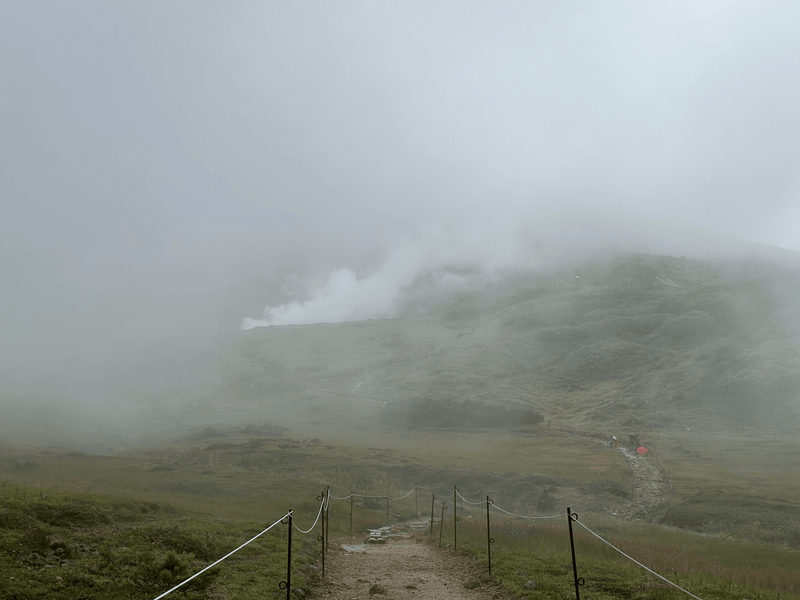 foggy trail