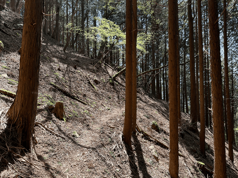 trail down